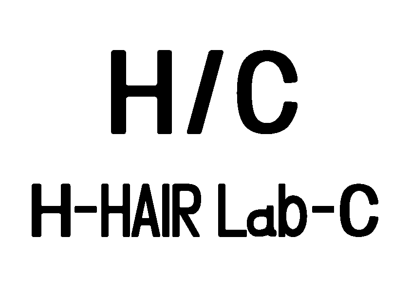 アッシュヘアーラボ チヨカワ H-hair lab-C